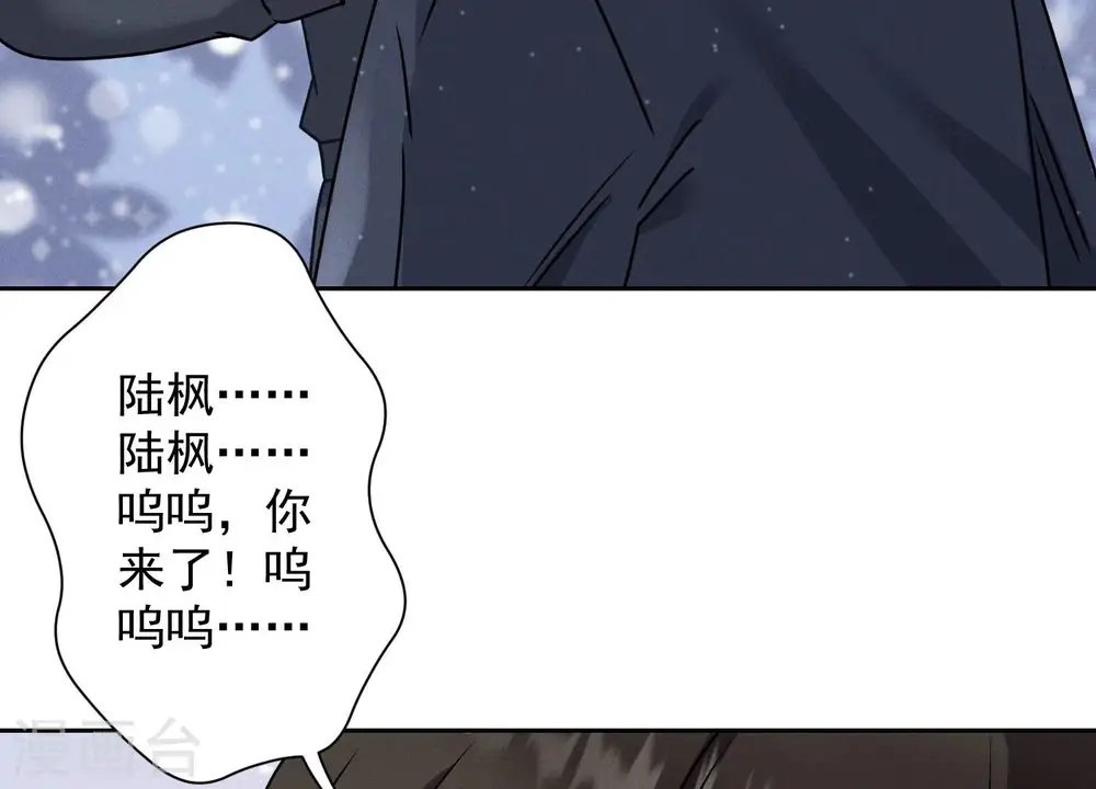 第162话 转移资产 第99页