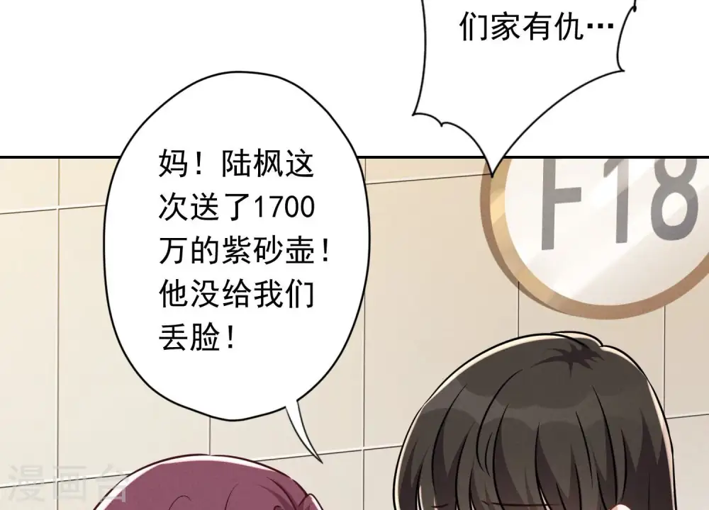 第115话 赘婿有阴谋 第41页