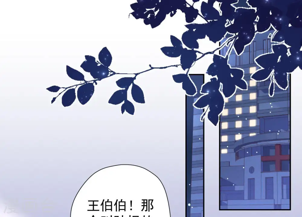 第30话 合法夫妻 第85页