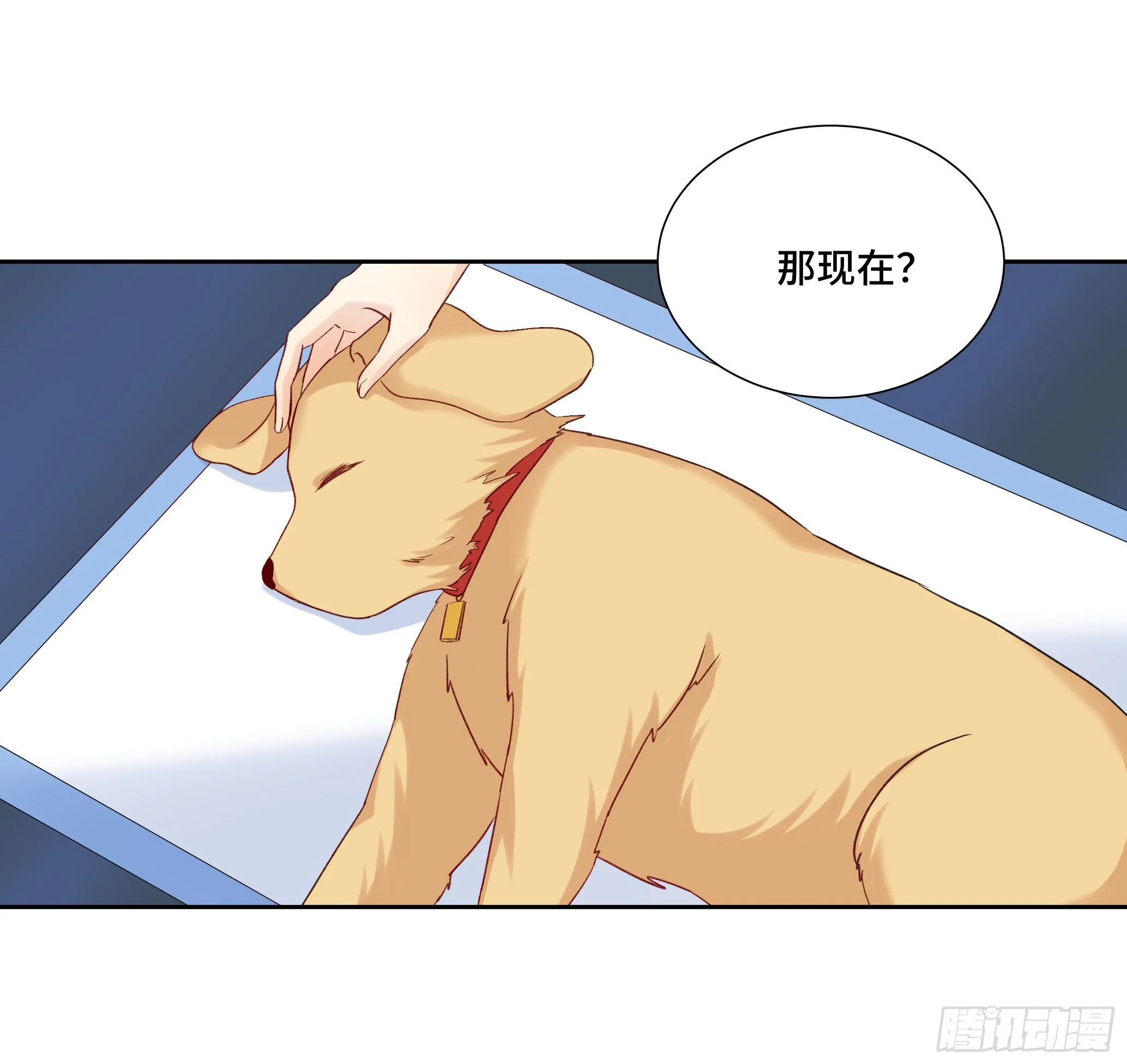 本能反应 第23话-意外 第20页