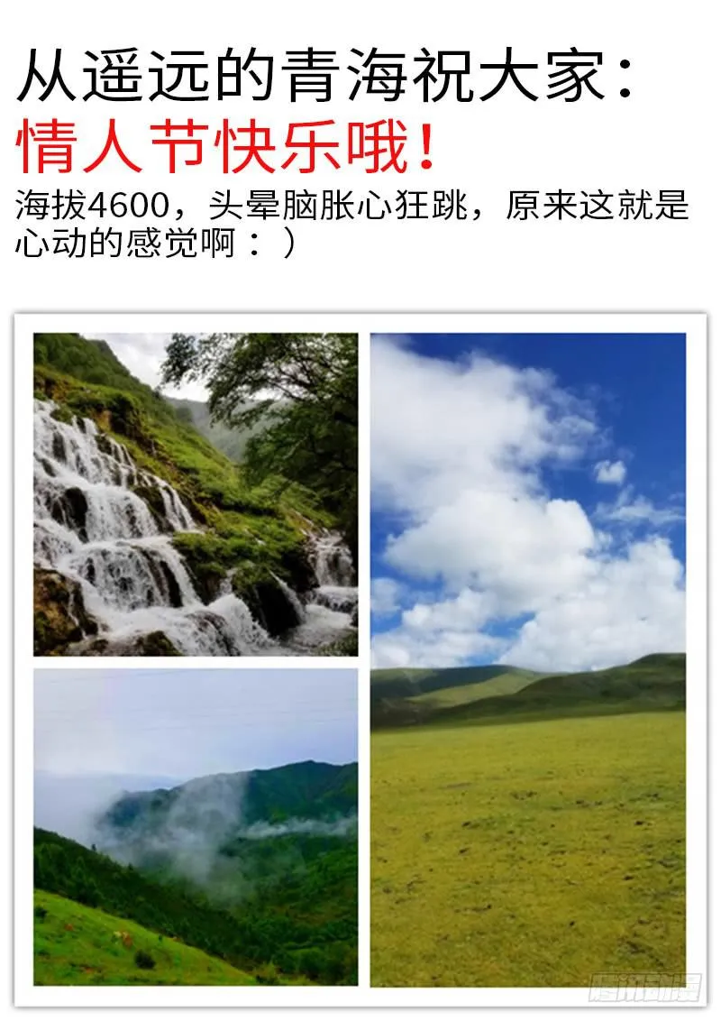 他想泡你 第13页