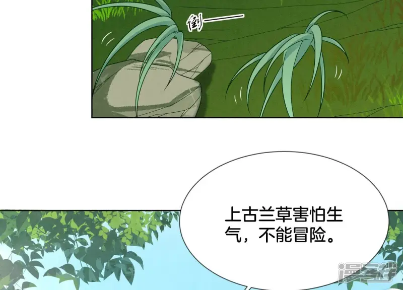 番外一 奶香小兰花降临人间 第32页