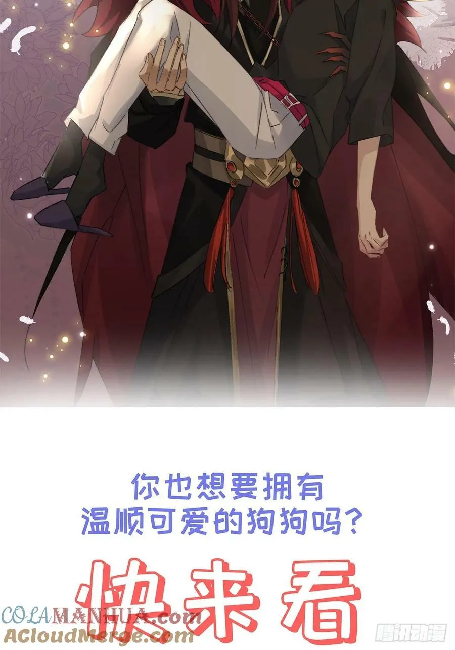 正式预告 剧情预告 第13页
