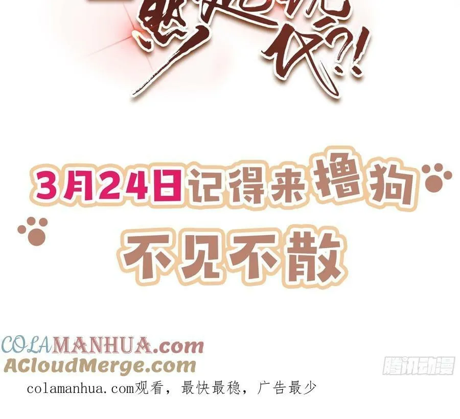 人设预告 人设预告 第8页