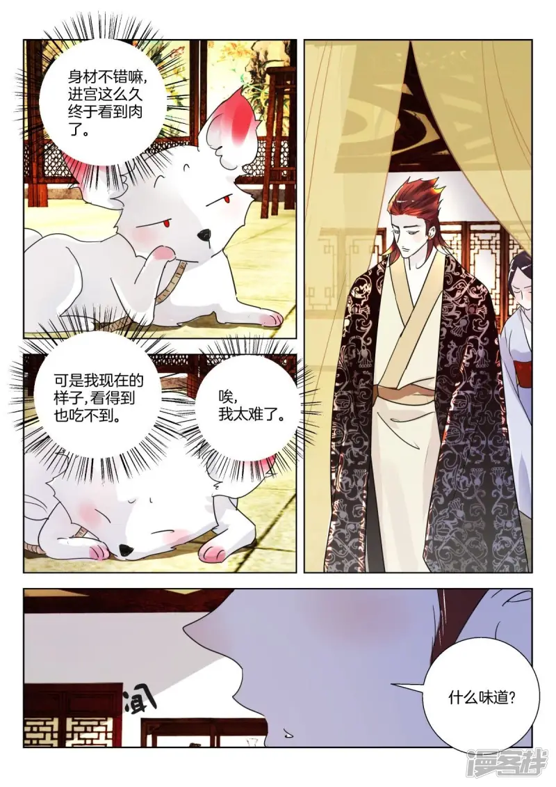 第335话 这是什么人间疾苦？ 第6页