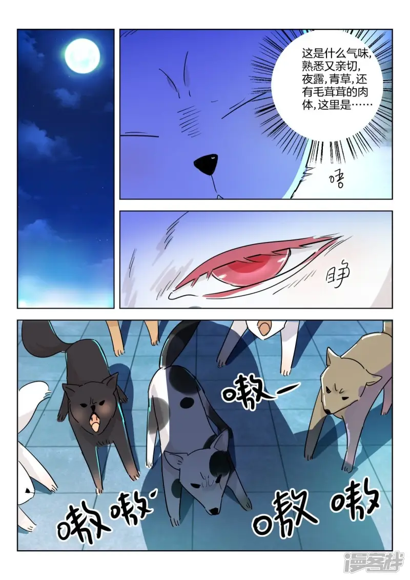第332话 恭喜恭喜，喜得贵子 第6页