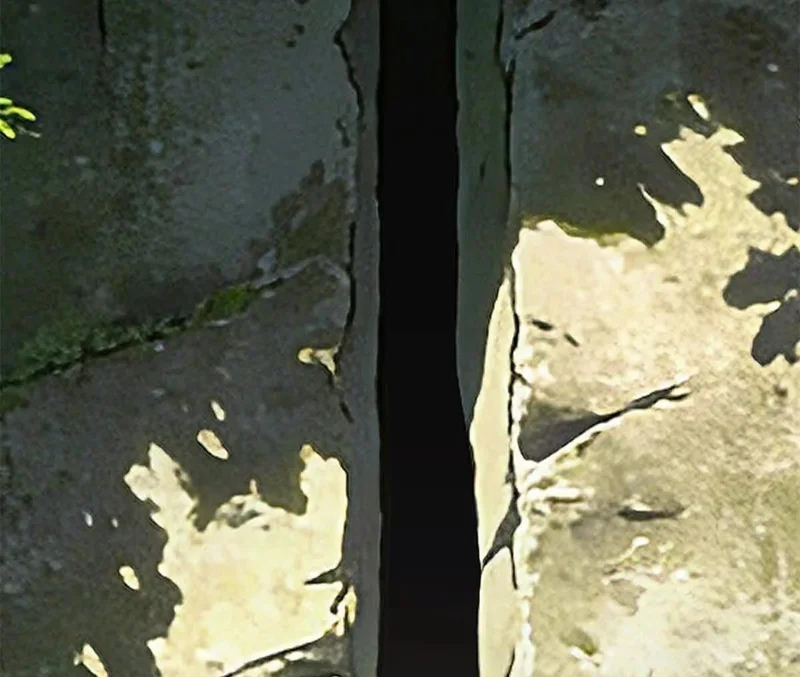 173 地下城 第54页