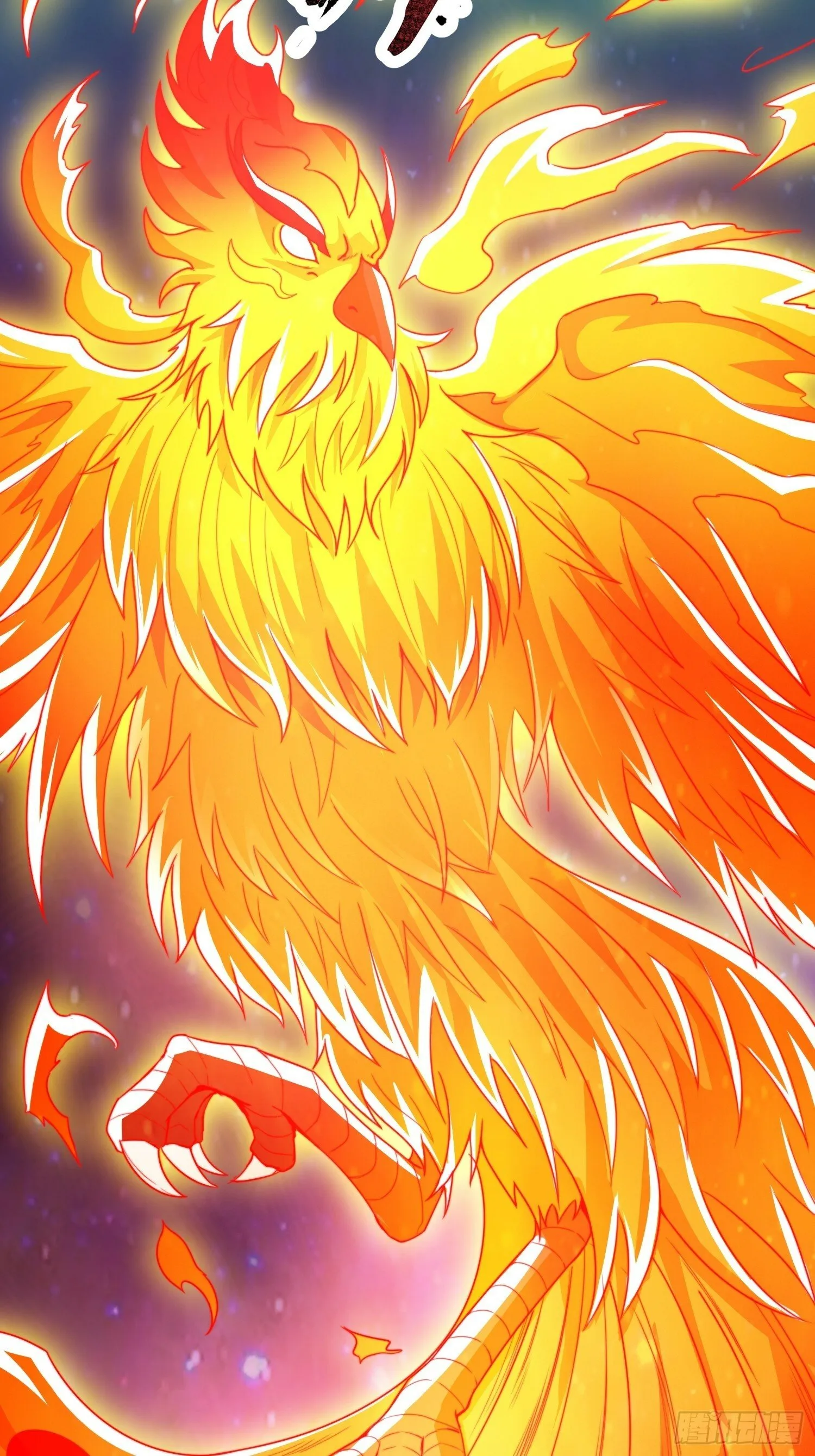 第28话 我们是合法的！ 第5页