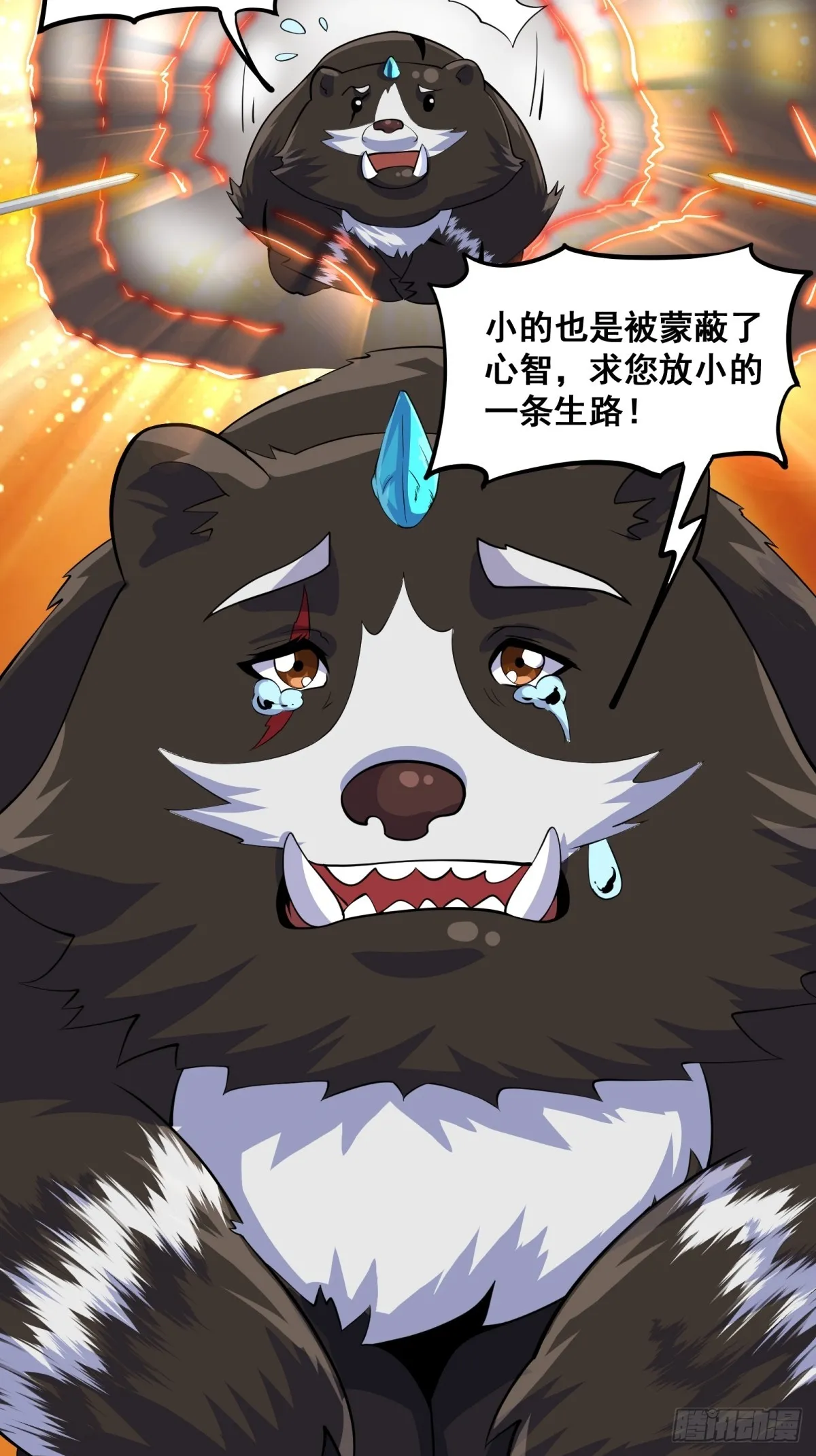 010 这熊是有故事的 第5页