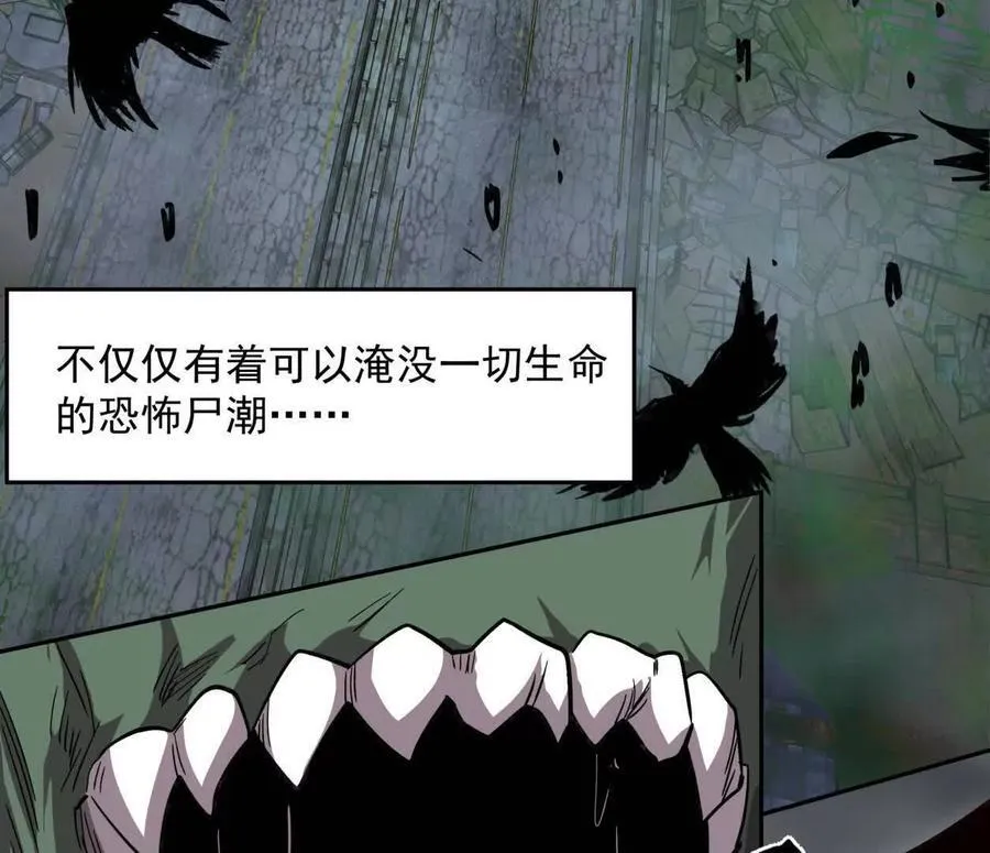 150话最后还是我赢了，江思 第11页