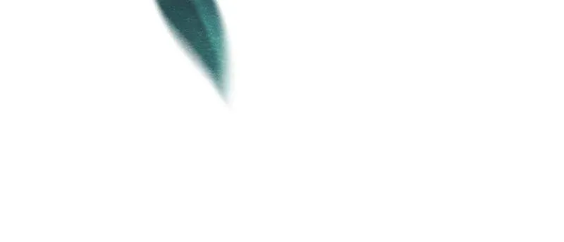 第38话 不入虎穴 焉得虎子 第79页