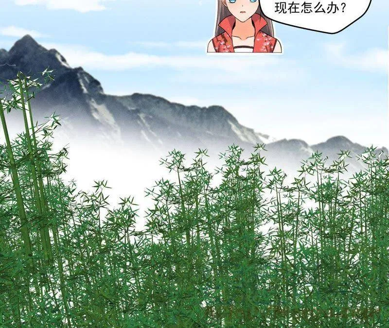 第24话 沈天禄的绝技 第29页