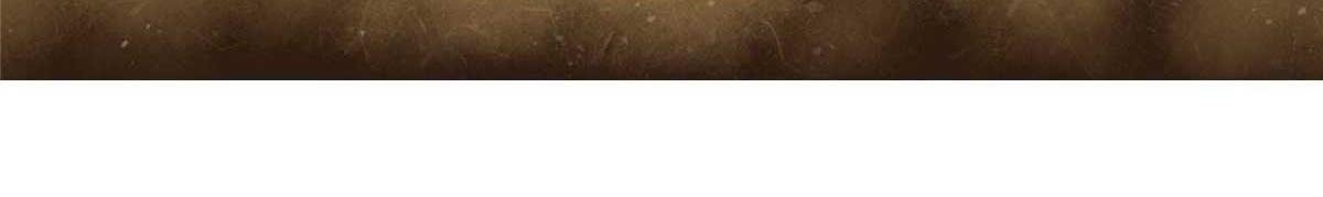 136 星星之火（上） 第163页