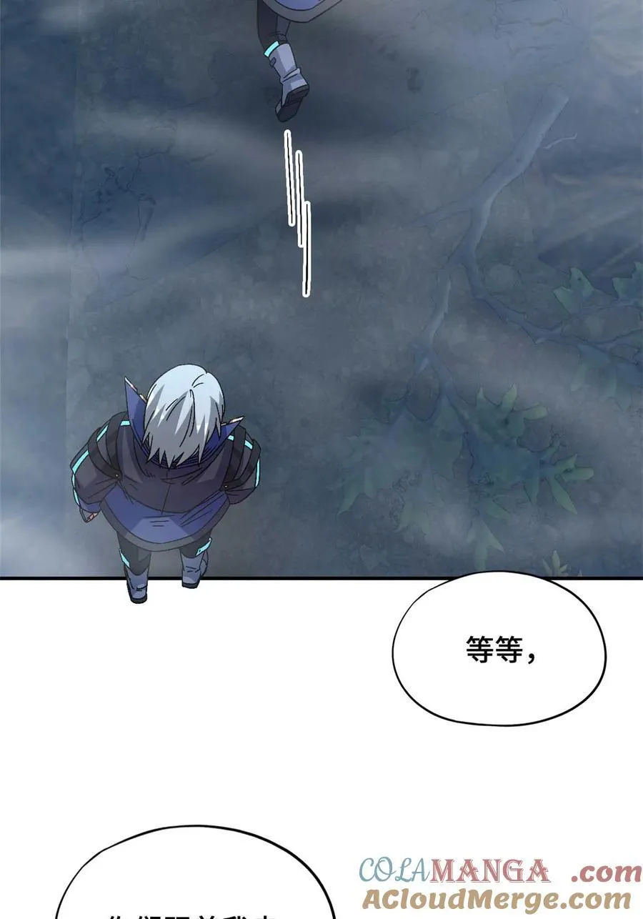 第88片 迷雾山脉 第61页