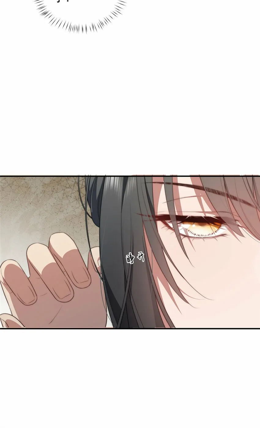 27 27 第38页