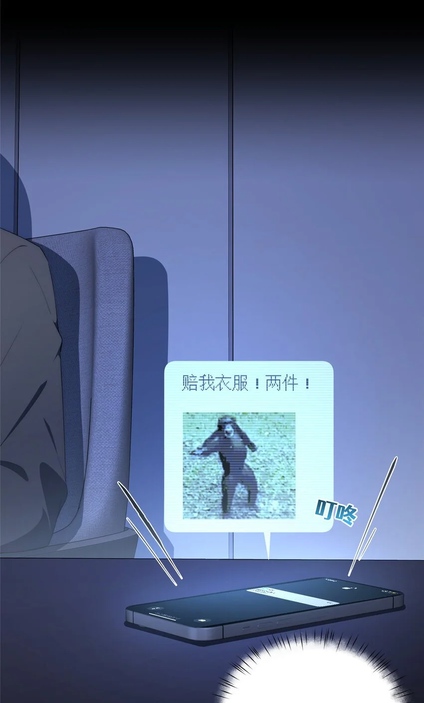 68 玫瑰 第16页