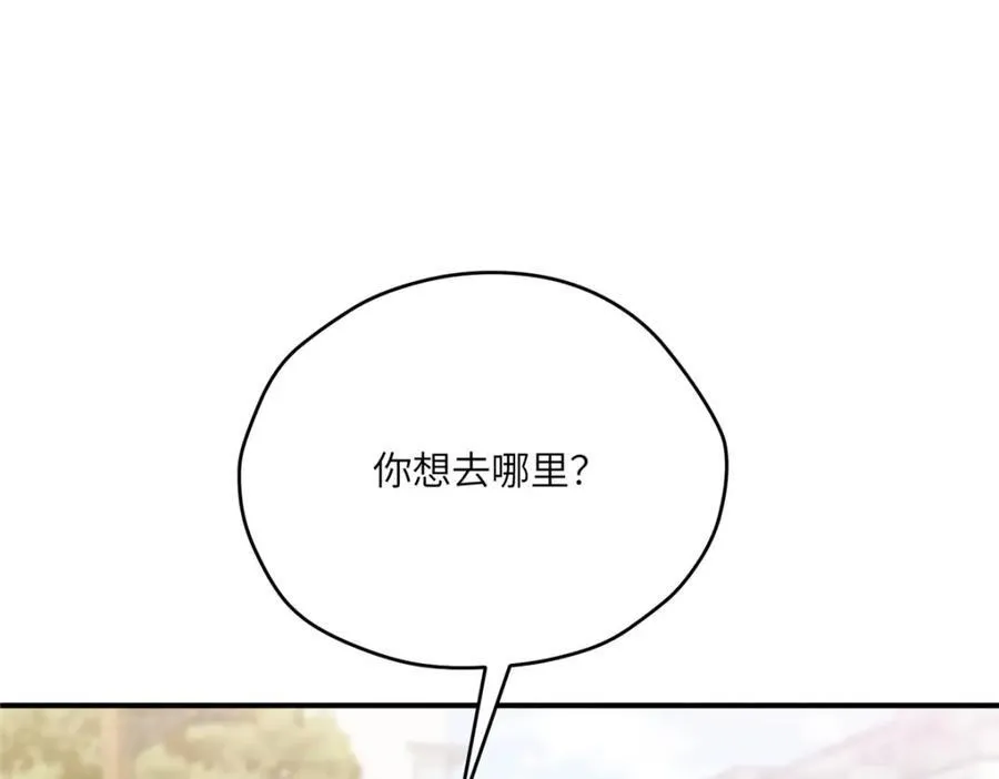 113 柔软的季节 第26页