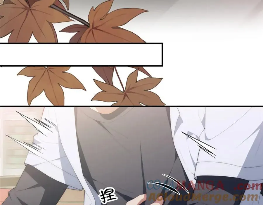 113 柔软的季节 第53页