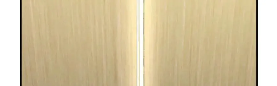 116 我想和你生孩子 第91页