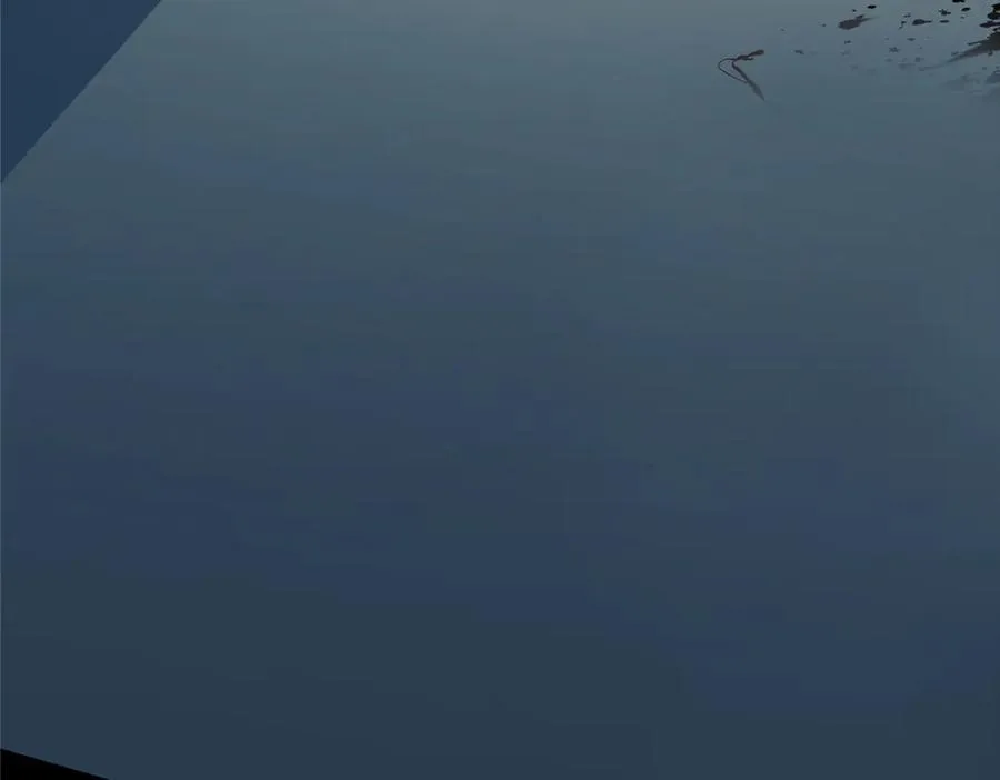 119 秋无际出手 第64页