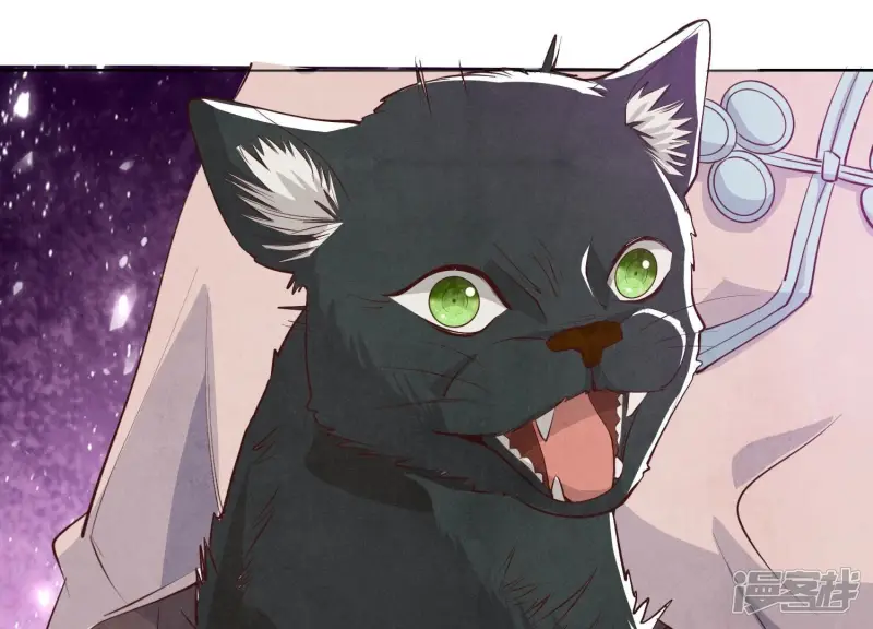 第18话 野猫 第9页