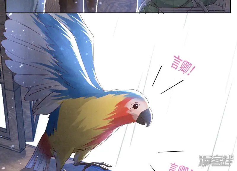 第63话 鹦鹉 第79页
