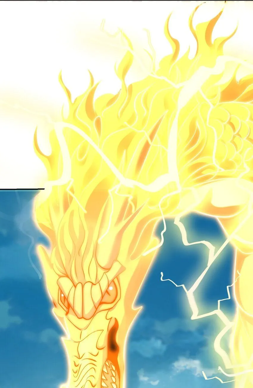 第41话 你们弱爆了！ 第14页