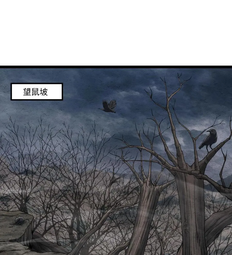 83 卓婆 第30页