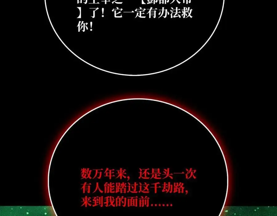 67 酆都大帝 第70页