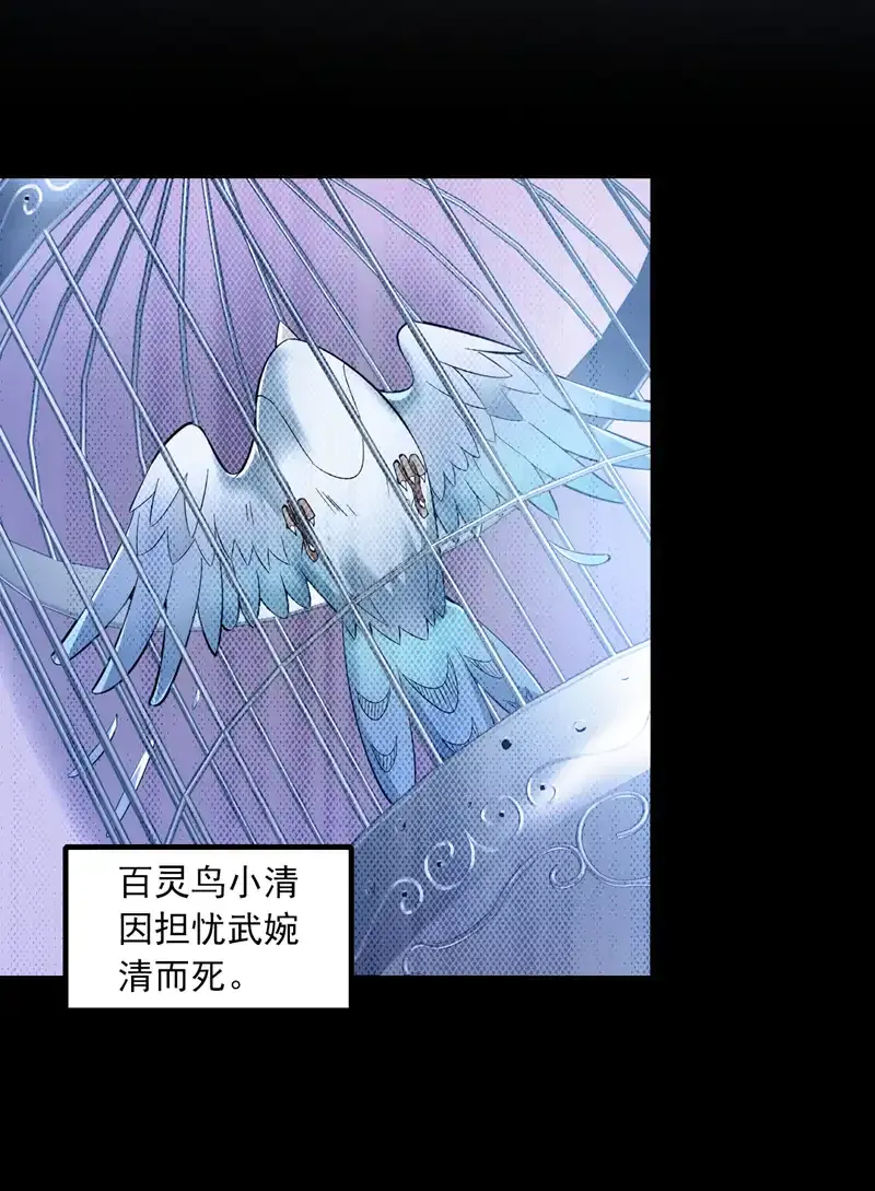 第55话 婉清，辛苦了 第13页