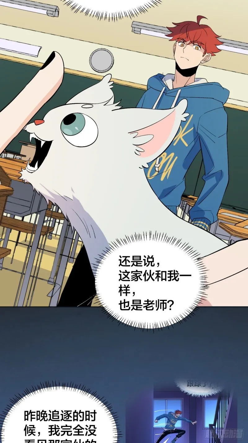 猫咪真厉害 第14页