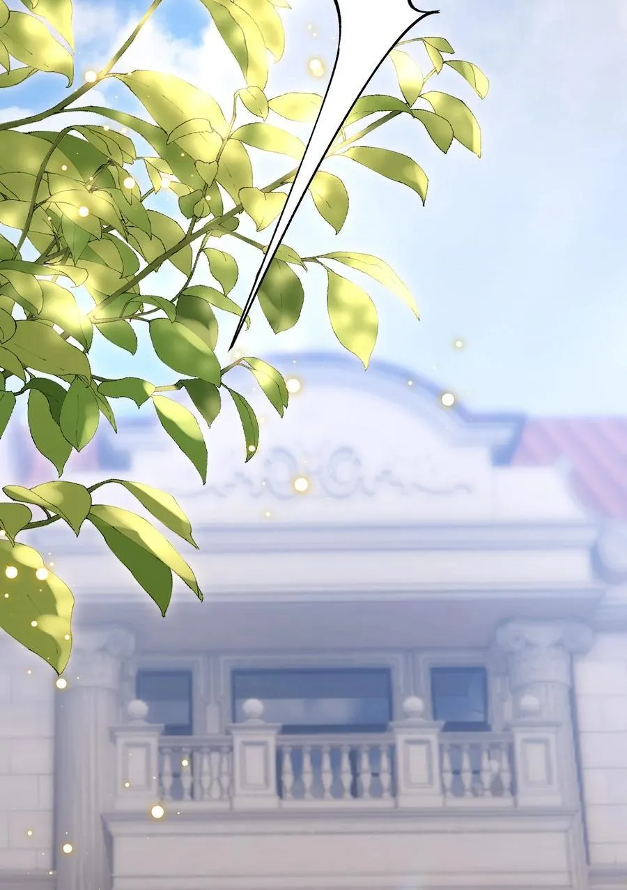 061 从天而降 第11页