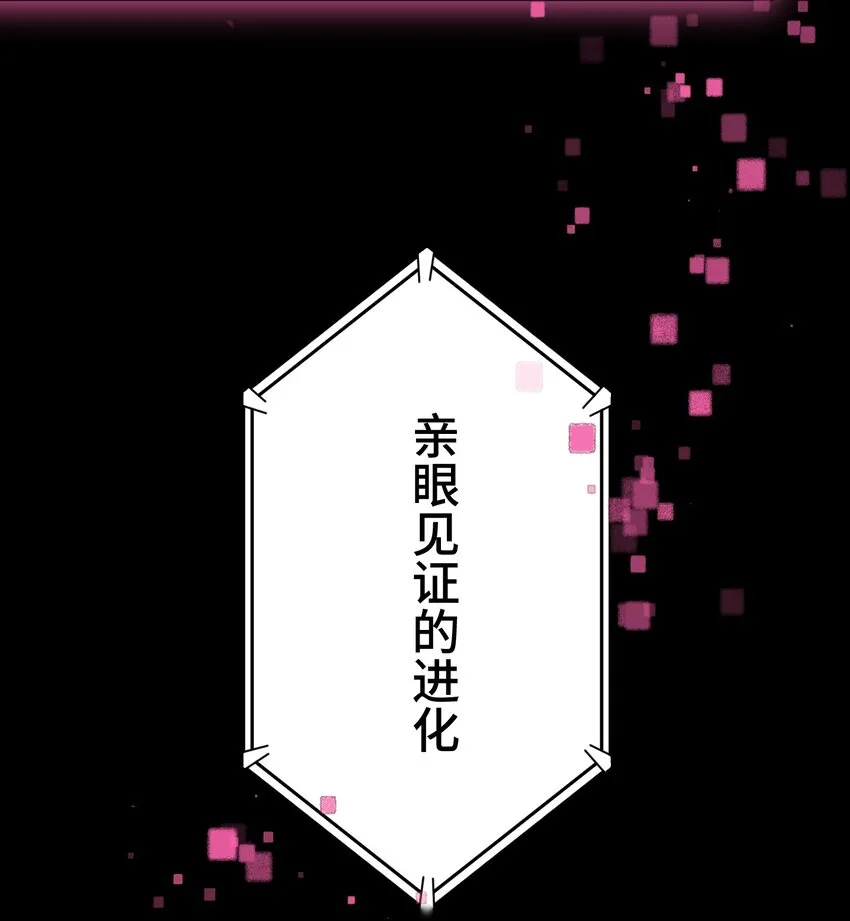 16 开幕 第71页