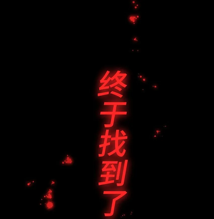 28 终幕 第70页