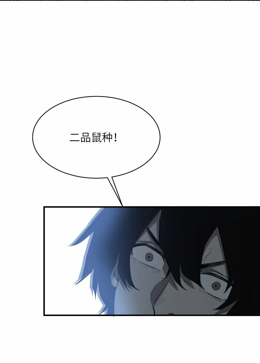 024 三阶变异 第58页