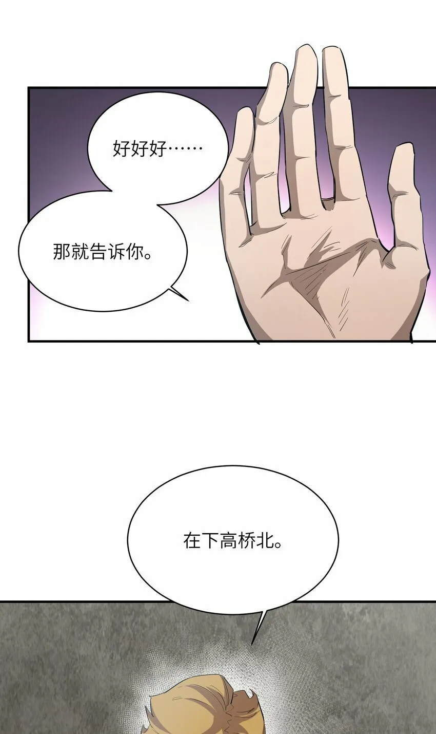 026 神 第42页