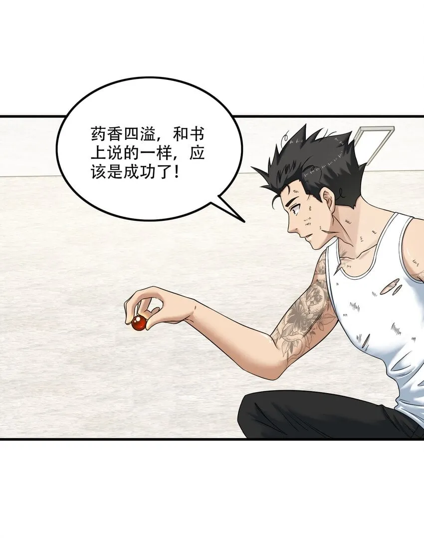 010 炼丹 第27页