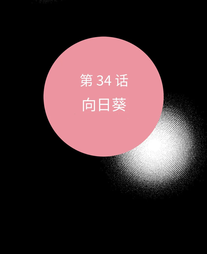 34 向日葵 第10页