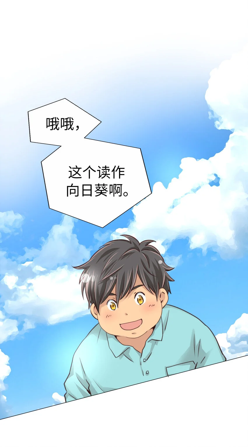 34 向日葵 第41页