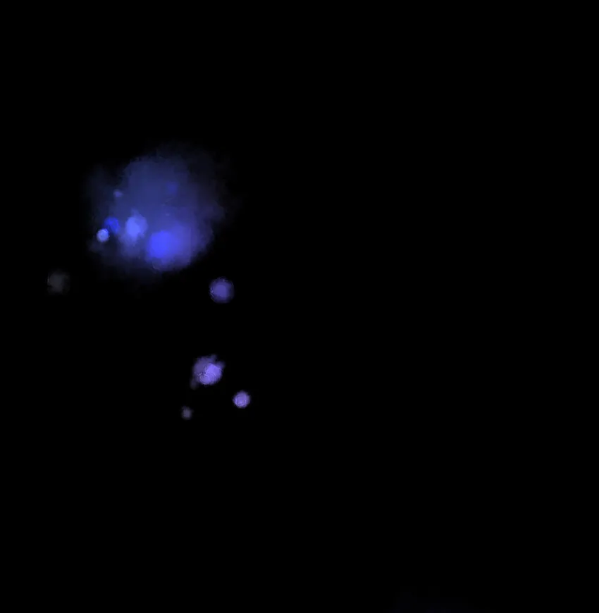51 挑逗 第65页