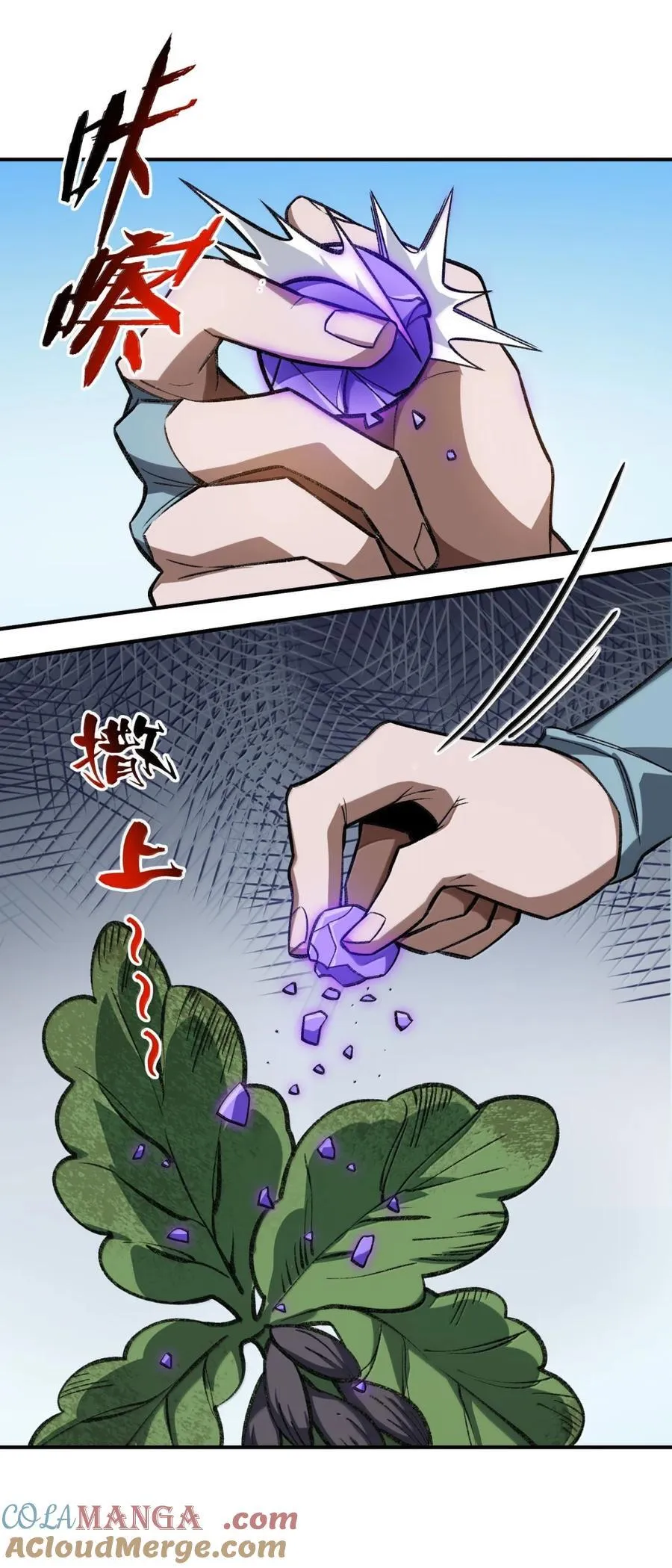 117 117 第4页