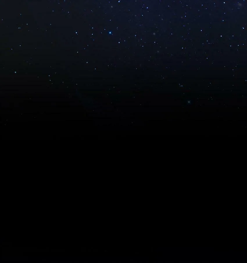 001 灭绝 第95页