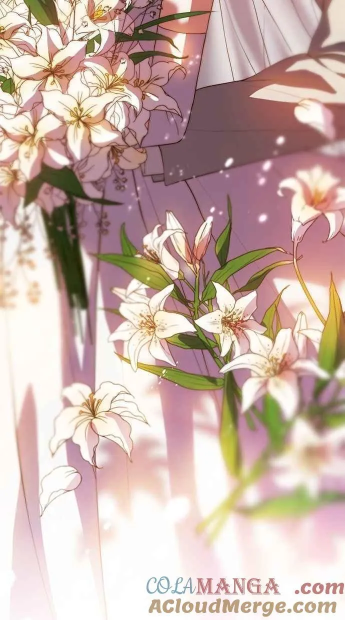 后记 第25页