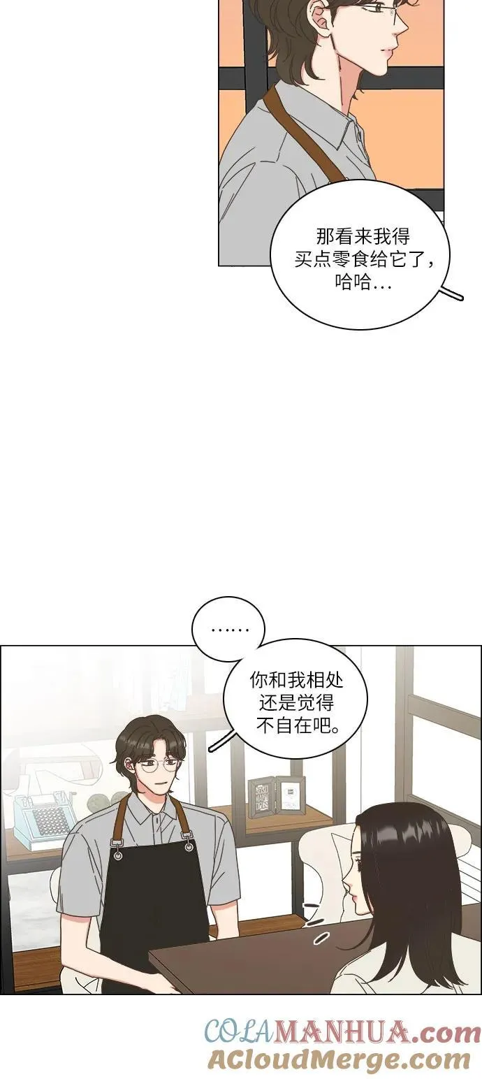 第55话 第37页