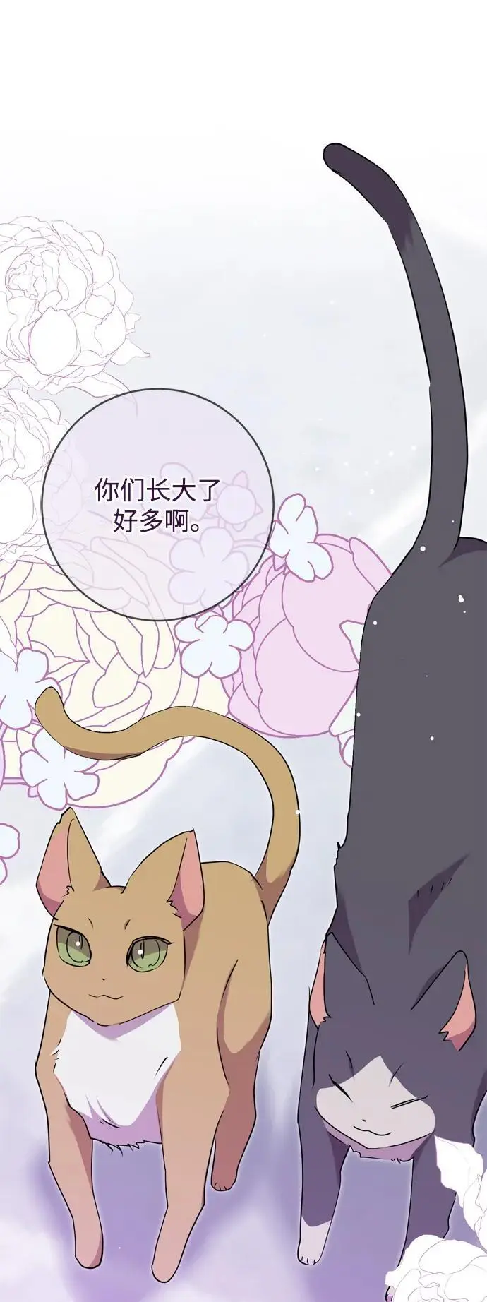 第51话 第39页