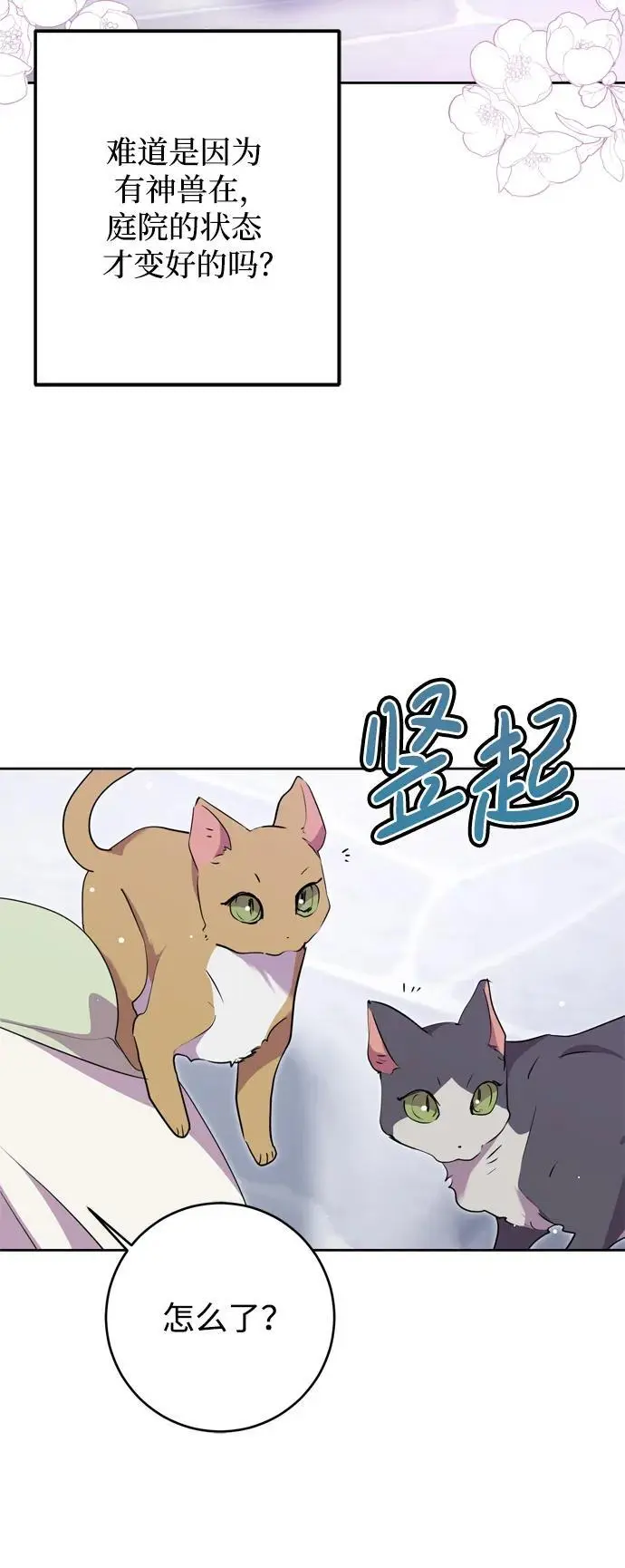 第51话 第41页
