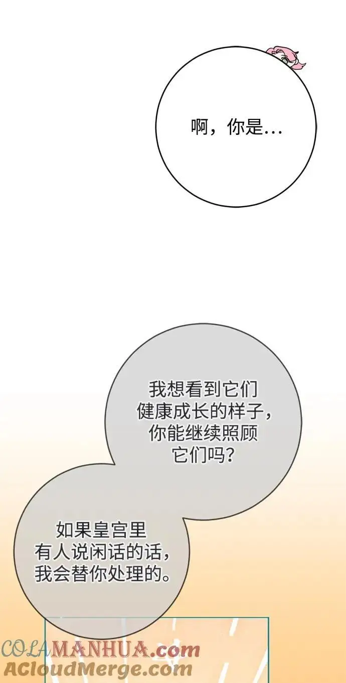 第51话 第43页