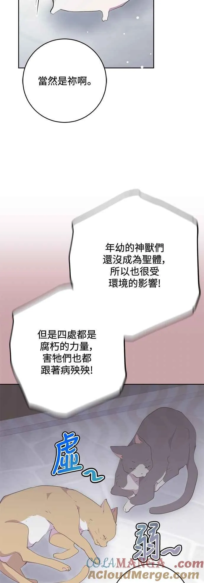 第62话 第46页