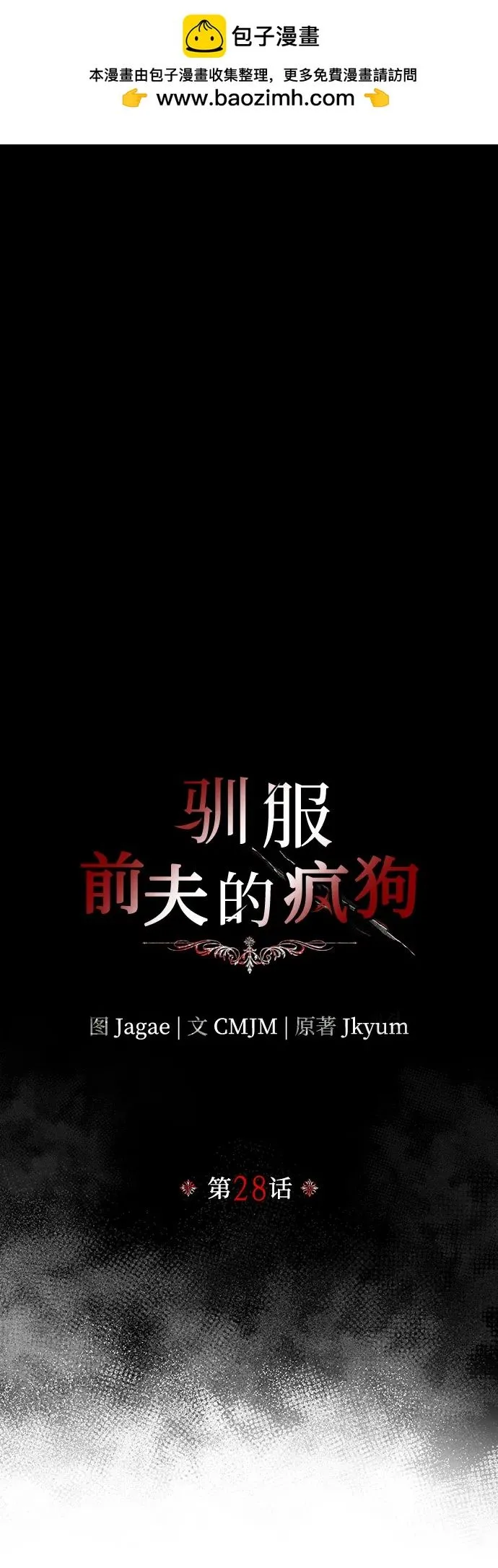 第28话 第13页