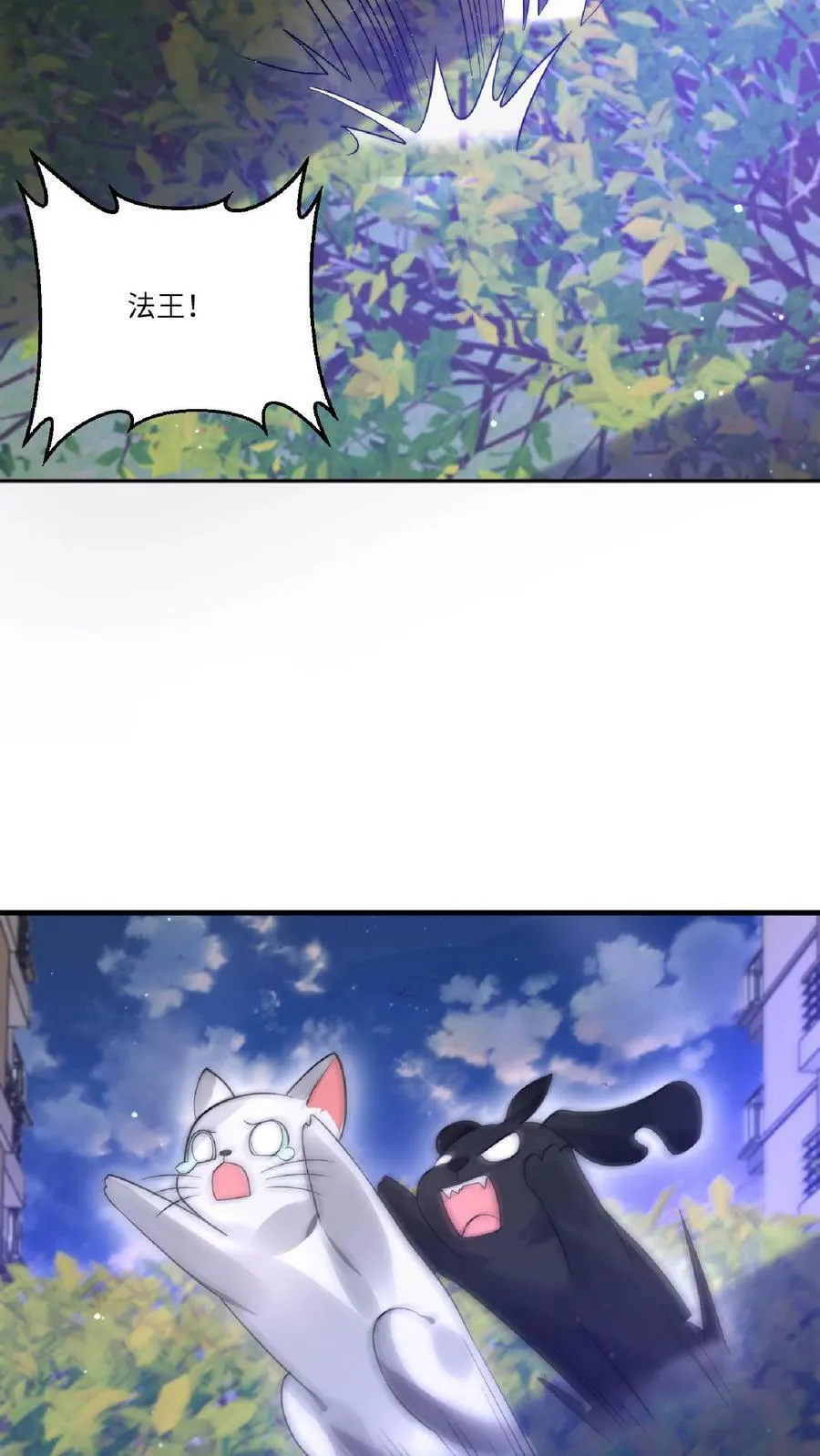 第24话 会心灵交流的神奇小猫 第12页